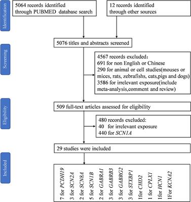 Do All Roads Lead to Rome? Genes Causing Dravet Syndrome and Dravet Syndrome-Like Phenotypes